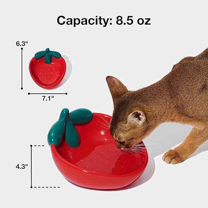VETRESKA Ceramic Pet Bowl Tilted Design Pet Feeder for Food and Water Anti Vomit Cat Bowls for Indoor Cats Cute Strawberry Cat Bowl Dishwasher Safe