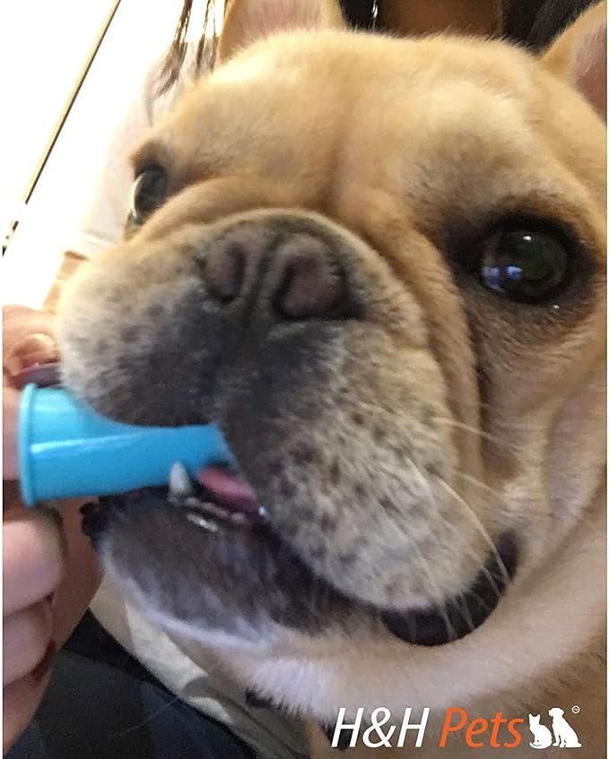 H&H Pets Dog Finger Toothbrushes - Professional Pet Finger Dental Brush Set for Dogs Puppies Cats, Soft Bristles, Size Large 8 Count