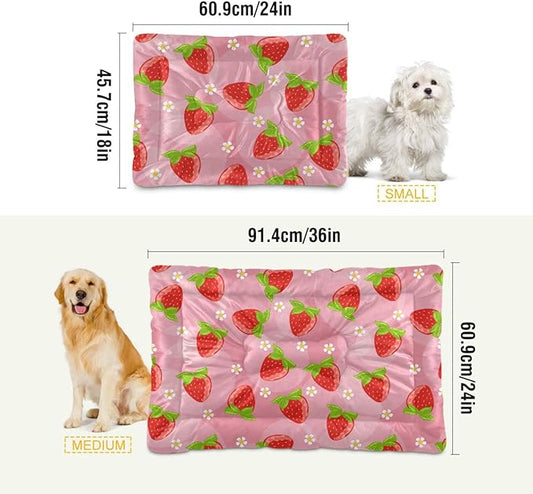 Strawberry Fruits Pet Bed Cute Dog Bed Mat Absorbing Non Slip Pad Pet Sleeping Mat for Small, Medium, and Large Dogs Puppy Cat 24 in x 18 in