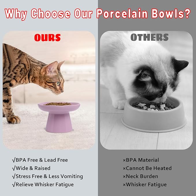 Wide Shallow 6.1" Raised Cat Bowls, Ceramic Elevated Food Plate for Flat Faced Cats and Small Dogs, Porcelain Feeder Bowl, Stress Free, Protect Cat’s Spine, Lavender