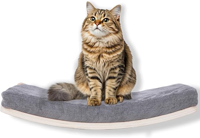 Curved Cat Shelves and Perches, Floating Cat Wall Bed with Comfortable Cushion