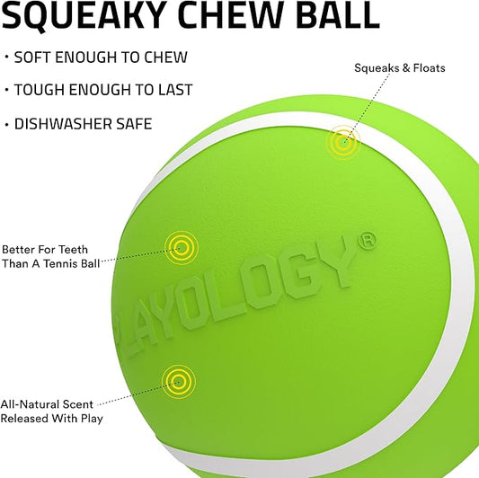 Playology Dog Toys | Squeaky Chew Ball - Squeaky and Bouncy Durable Floating Fetch Ball for Dogs (Value 3-Pack) | Small Cheddar Cheese Scented Toy - Easy to Clean and Made from Non Toxic Materials