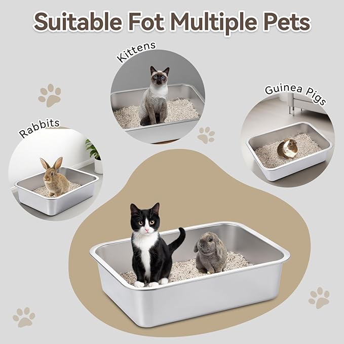 GOLDEN KEY Stainless Steel Litter Box for Kittens,Small Cat Litter Box for Kittens,15.6"×11.6"×4" Metal Litter Pan for Cat, Rabbit, Hamsters, Non Odor, Easy to Clean