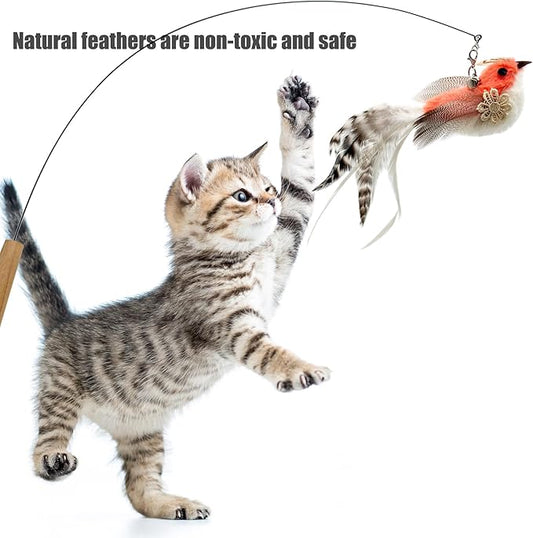Cat Feather Toys Refill, 5 Pieces Cat Wand Attachments Feathers Bird Toy for Indoor Cats