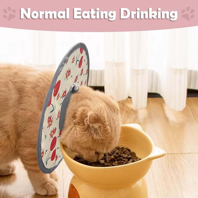 LOS ANDES Cat Recovery Collar - Adjustable Protective Collar Alternative, Prevents Licking Wounds, Lightweight for Kitten & Puppy