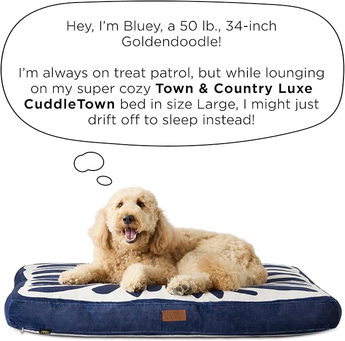 TOWN & COUNTRY LUXE CuddleTown Matisse Everwash® Pillow Pet Bed, Water Repellent Floor Pillow, Machine Washable Cover, Soft & Calming, Taupe, Large 44"x34"x4"