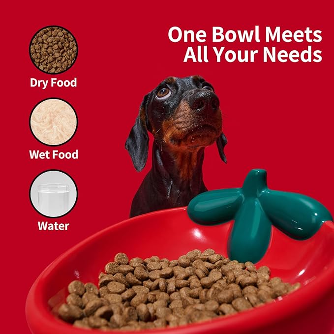 VETRESKA Ceramic Pet Bowl Tilted Design Pet Feeder for Food and Water Anti Vomit Cat Bowls for Indoor Cats Cute Strawberry Cat Bowl Dishwasher Safe