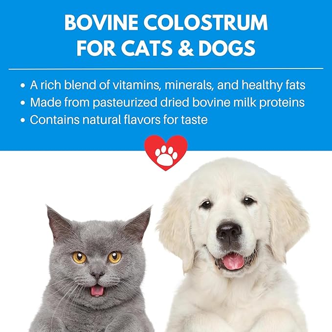 Bio-Active Bovine Colostrum for Dogs, Cats, Puppies, Kittens & Pets - Daily Colostrum Powder Supplement 240g (480 Servings)