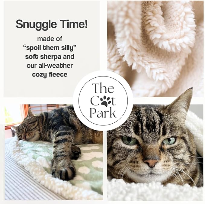 Cat Blanket for Indoor Cats – 29" Soft Sherpa Fleece Pet Throw, Washable Reversible Dog Blanket for Small Dogs, Cats, Kittens, Couch Bed Sofa Car Protector – Sage
