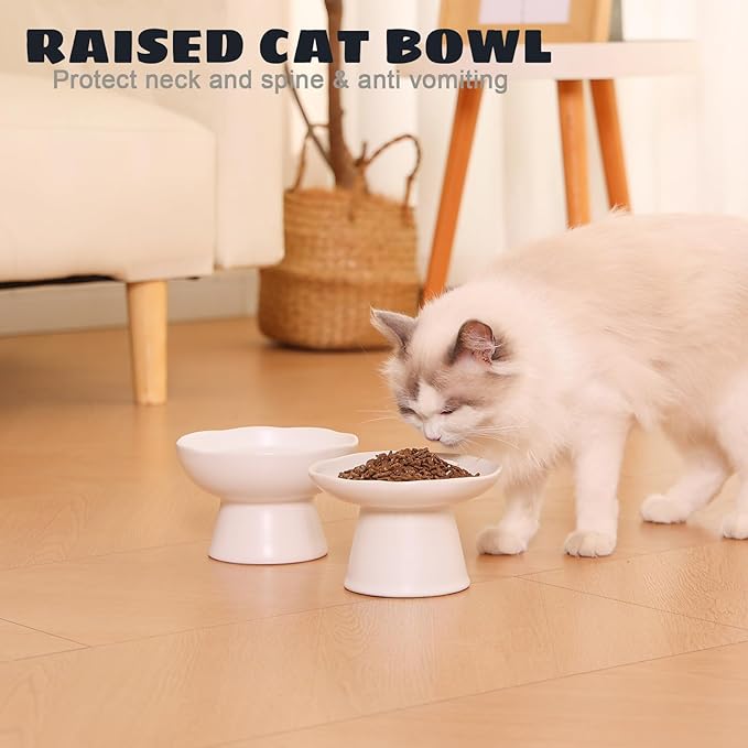 6.1" Wide 1.57" Deep Elevated Cat Water Bowls, Ceramic Raised Food Plate,Cat Feeder,Anti Vomiting Whisker Fatigue,White