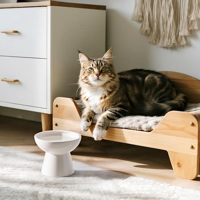 Extra Wide Elevated Ceramic Cat Water Bowl - 6.2" Deeper Dish for Whisker Fatigue Relief, 5" Height for Easy Feeding, Lead & Cadmium Free, Durable Raised Cat Bowls, White