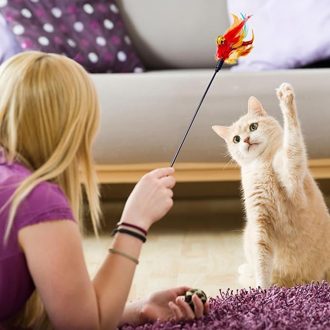 Cat Feather Toys, Cat Toy with Elastic Turkey Feathers, Interactive Teaser Wand with Bell, Durable Flexible Rod for Playful Kittens and Cats, Indoor Entertainment for Pets (1 Sets)