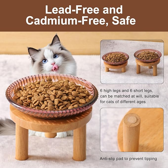 Cat Bowls Whisker Friendly with Wooden Stands. Raised Elevated Glass Whisker Fatigue Cat Bowl for Indoor Cats. 2PCS (Purple)