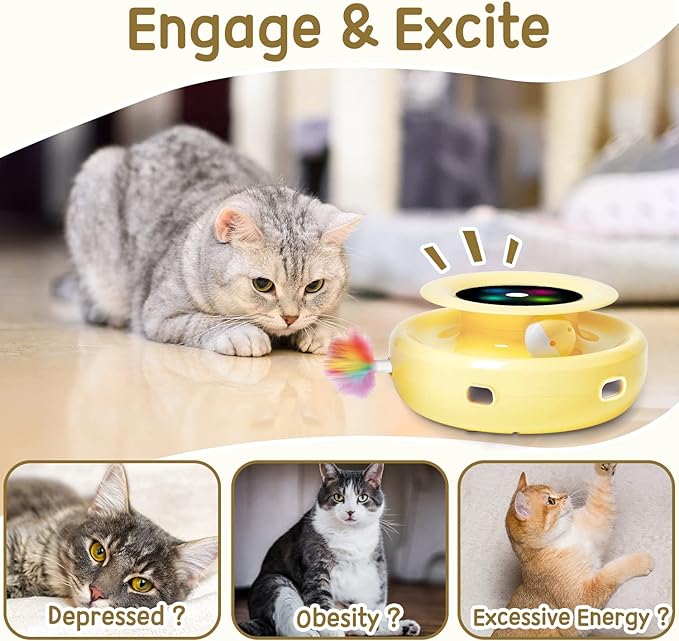ORSDA Cat Toys 2-in-1 Interactive Cat Toys for Indoor Cats, Automatic Cat Toy Balls, Ambush Feather Kitten Toys with 6pcs Feathers, Dual Power Supplies, Adjustable Speed, Auto On/Off