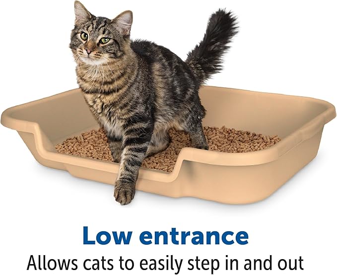 KittyGoHere Senior Cat Litter Box 1 Pack, Large Beach Sand Low Entrance Kitty Litter Box, Sized for Cats Comfort, Perfect for Senior and Arthritic Cats, Made in USA