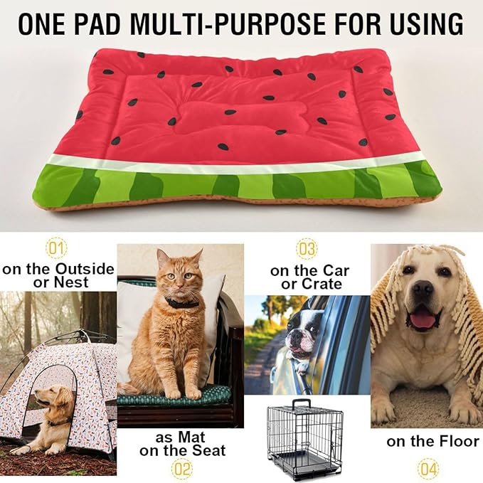 Pet Bed Watermelon Fruits Dog Bed Mat Absorbing Non Slip Pad Pet Sleeping Mat for Small, Medium, and Large Dogs Puppy Cat 36 in x 24 in