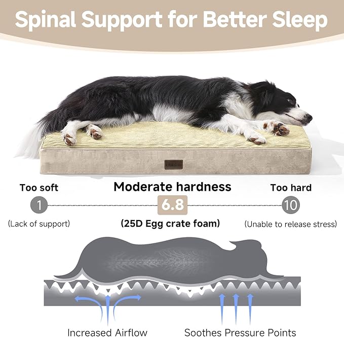 OhGeni Orthopedic Waterproof & Machine Washable Dog Bed for Medium Large Pets, Suitable for Crates, Cat Mat with 25D Egg Crate Foam, Removable Cover & Invisible Zipper, 35 Inches(Khaki)