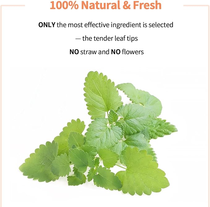 Premium Catnip for Cats & Kittens β Cold-Processed, High Potency Nepetalactone, 100% Pure Leaf-Only Catnip for Toys, Scratchers, Refills, Stimulates Play & Protects Furniture - 10g