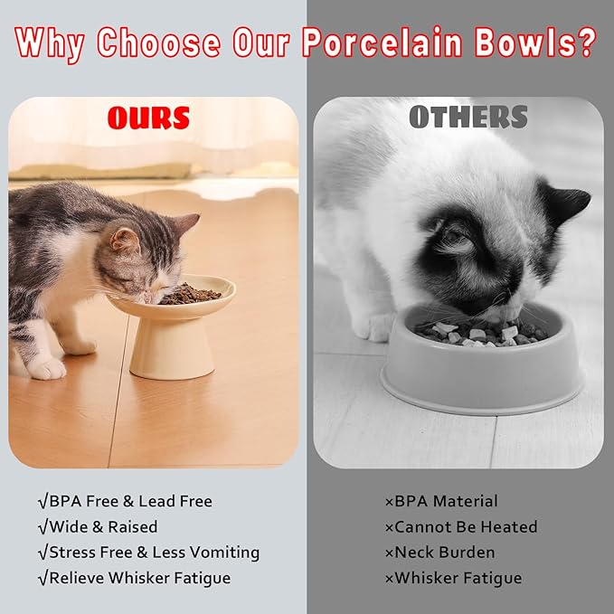 Wide Shallow 6.1" Raised Cat Bowls, Ceramic Elevated Food Plate for Flat Faced Cats and Small Dogs, Porcelain Feeder Bowl, Stress Free, Protect Cat’s Spine, Cream