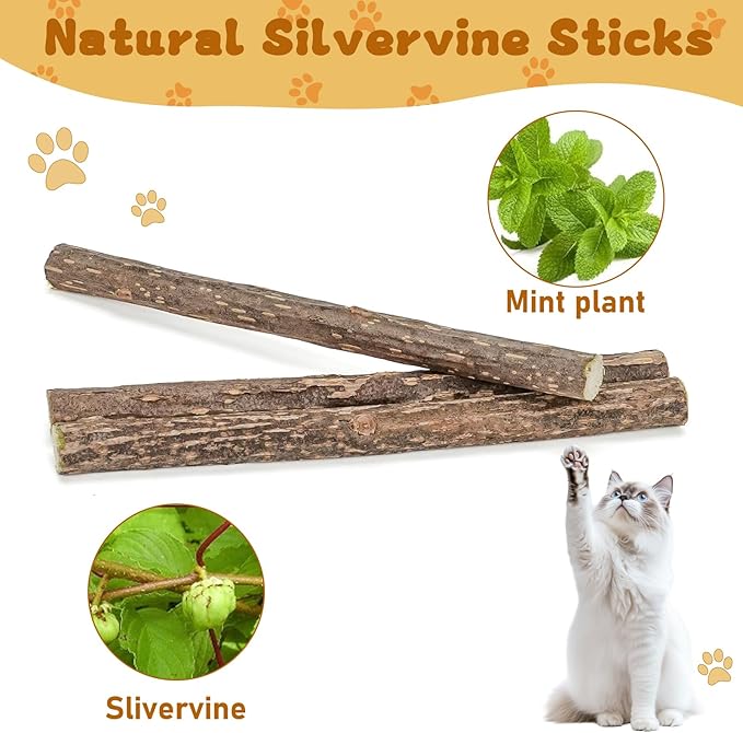 Silvervine Sticks for Cats, Natural Catnip Matatabi Chew Sticks Teeth Molar Chew Toys for Cat Kitten Kitty (at Least 12 PCS)