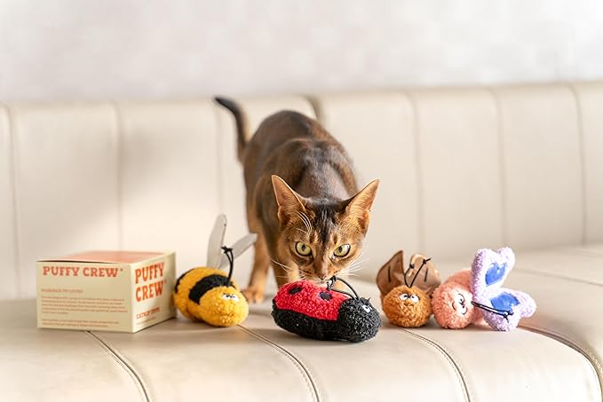 Interactive Catnip Cat Plush Toy, Insect Theme, 5'', for All Breed Size Cats (Butterfly)