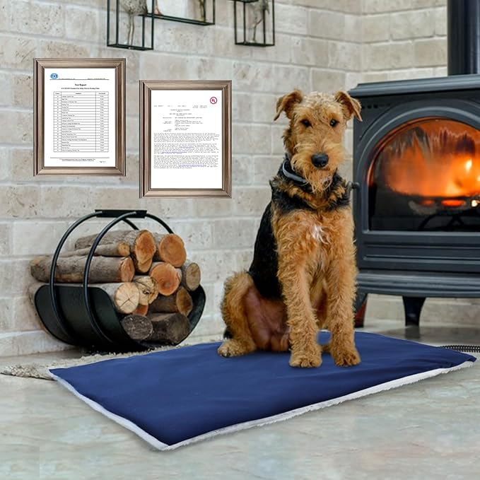 Rest-Eazzzy Heated Cat Bed with Removable Cover, 5 Level Timer & Temperature, Indoor Warming Mat for Cats & Dogs (Heat Pad, Pure-Blue, M)