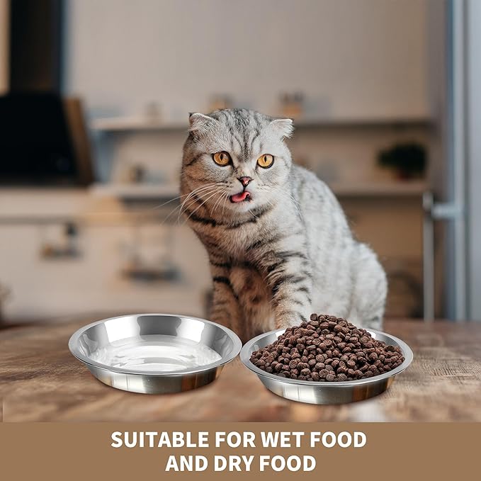 HUOIQUE 10 Pcs Stainless Steel Bowls, Whisker Fatigue Cat Bowl for Food and Water, Metal Shallow Cat Dishes, 6.2 Inches (Thicker)