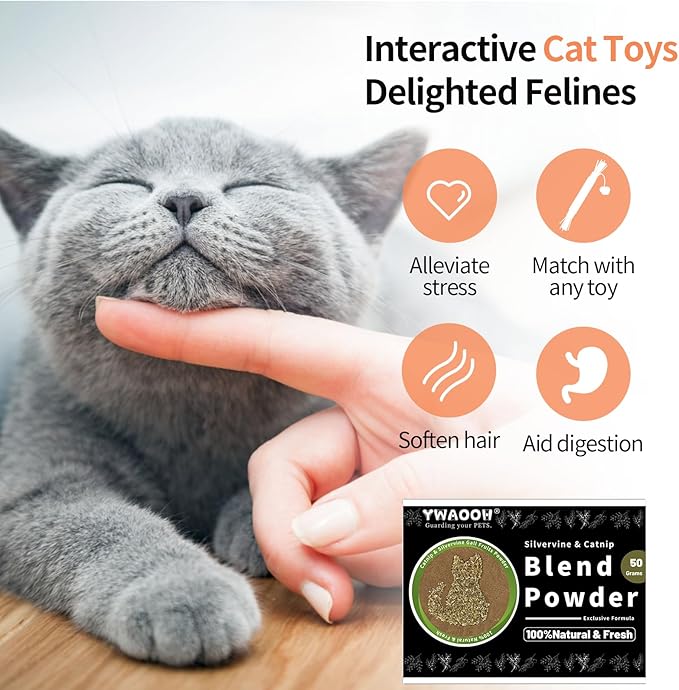 Catnip & Silvervine Powder β 50g Blend of Silvervine Gall Fruit & Catnip, Non-Addictive, for All Cat Ages, Multi-Use with Toys, Scratchers & Protecting Furniture, with 5 Little Pouches