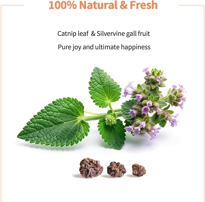 Catnip & Silvervine Powder β 30g Blend of Silvervine Gall Fruit & Catnip, Non-Addictive, for All Cat Ages, Multi-Use with Toys, Scratchers & Protecting Furniture, with 5 Little Pouches