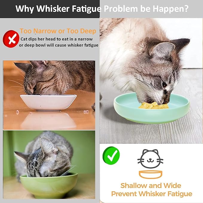 Ceramic Cat Bowls,Shallow Cat Dishes for Food and Water, 6 inch Matte Finish Wide Cats Food Bowl,Whisker Fatigue Free Pet Puppy Kitten Bowl Set of 3,Dishwasher Safe