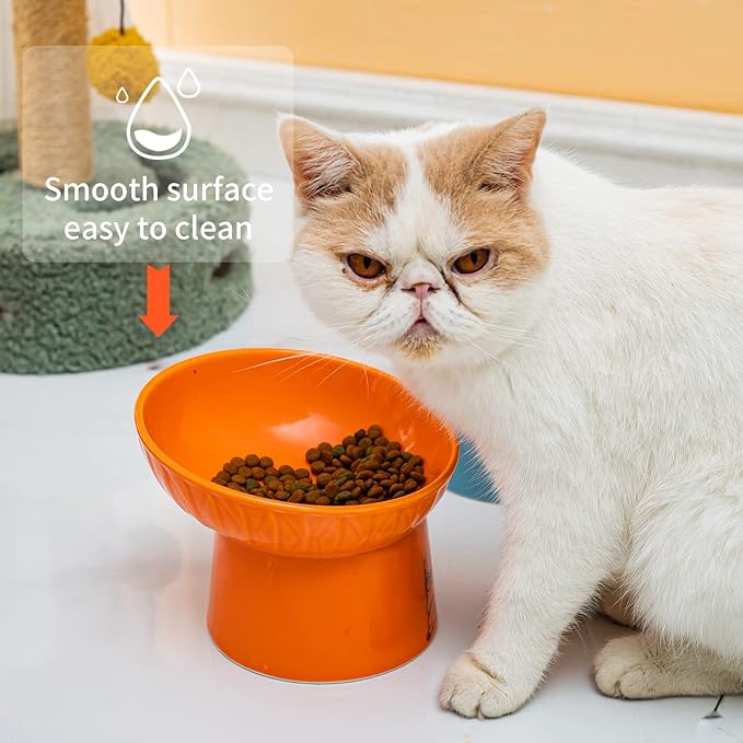 6.5 Inch Extra Wide Ceramic Raised Cat Bowl Set, Tilted Elevated Cat Bowls for Food and Water, Prevent Whisker Fatigue, Stress Free, Less Vomiting, Protect Spine, Lead & Cadmium Free, White & Orange