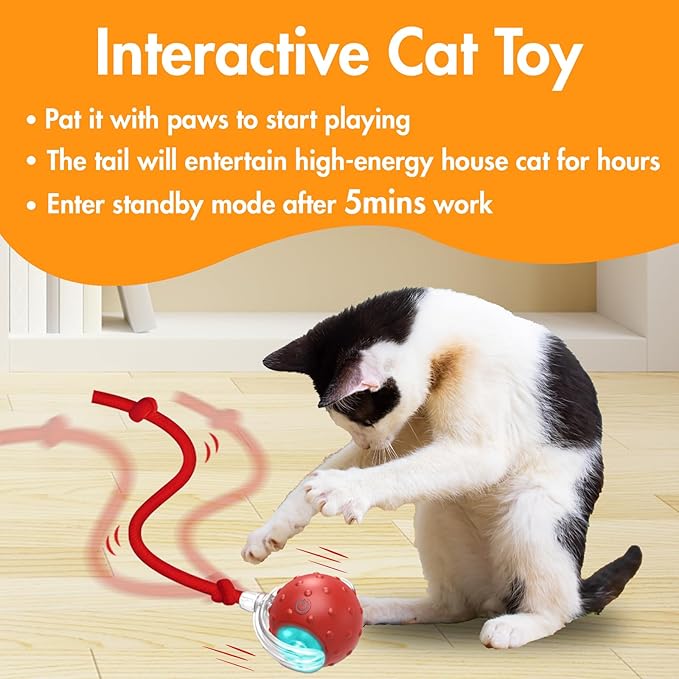 Interactive Cat Toys Ball for Indoor Cats, Automatic Fast Rolling Cats Toys to Keep Them Busy, Chirping & Motion Activated Moving Kitten Toy (Red)