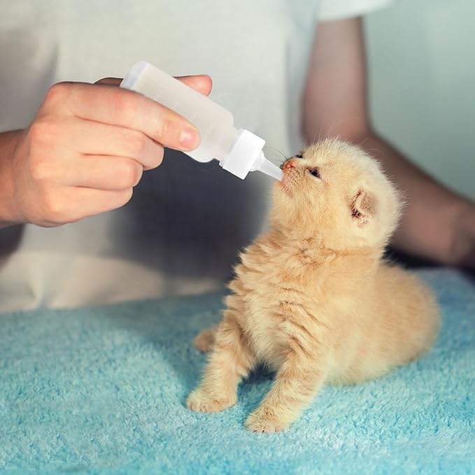 Suxgumoe Pet Feeding Bottle Set, Feeding Silicone Nipple with Bottle and Syringes, Reusable Pet Nursing Kits Feeding Tools for Rabbits, Small Animals (1 Bottle+3 Nipples+2 Syringes + 1 Cup+ 1 Spoon)