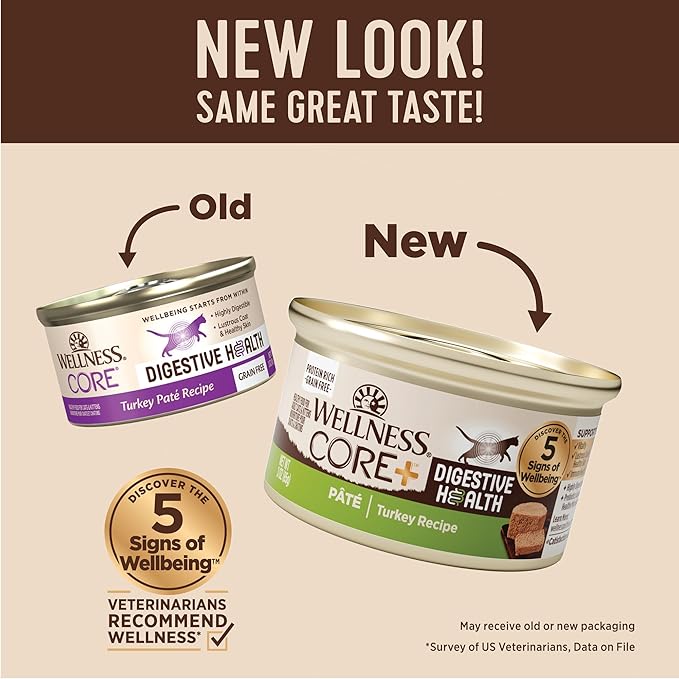 Wellness CORE+ Digestive Health Pate Adult Wet Cat Food, Natural, Protein-Rich, Grain Free, 3 Ounce, 12 Pack (Turkey)