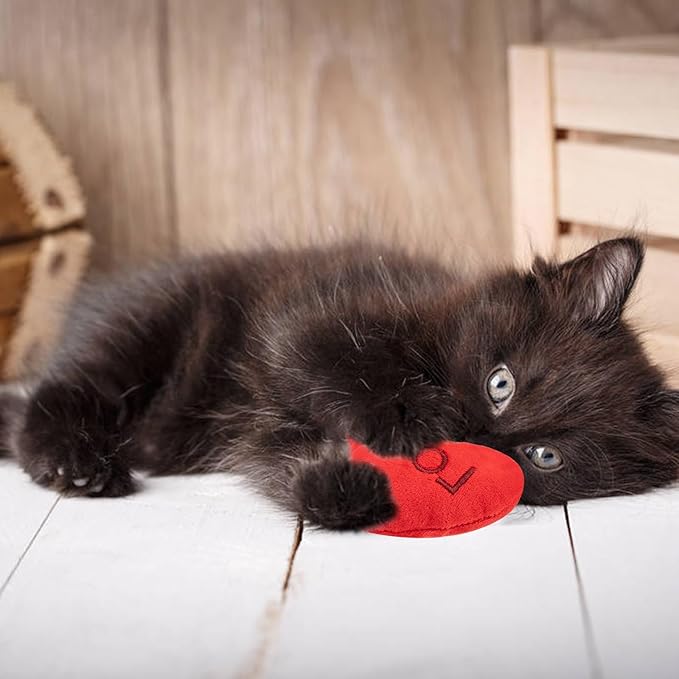 6pcs Valentine's Day Heart Catnip Toy,Valentines Indoor Heart Shaped Cat Toy Plush Interactive Chew Bite Toys for Cat Kitten Indoor Festive Holiday Cat Lover Gift