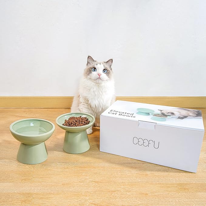 2 Elevated Ceramic Cat Bowls Extra Wide for Food & Water – Whisker Fatigue Shallow Food Dish, Lead & Cadmium-Free, Raised Height for Cats, Sage Green