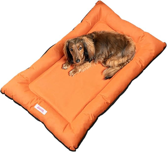 DBD3004B-L Archie 39" x 23" Traditional Oxford Waterproof Indoor/Outdoor Hand-Washable Memory Foam Camping Pet Bed, Tangerine