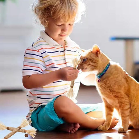 Cat Toys,3PCS Kitten Toys for Indoor Cats Catnip Toy for Chewing Silvervine Stick for Cleaning Teeth Kitty Dental Treat Interactive Toy Kitty Snack Self Play Wand Cat Mint Lick