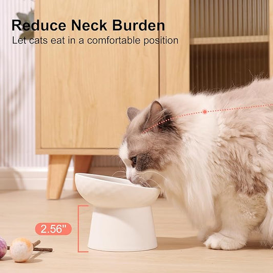 YauYik Small Raised Cat Bowls, Ceramic Tilted Elevated Food or Water Bowls, Stress Free, Backflow Prevention, Dishwasher & Microwave Safe, Lead & Cadmium Free, White