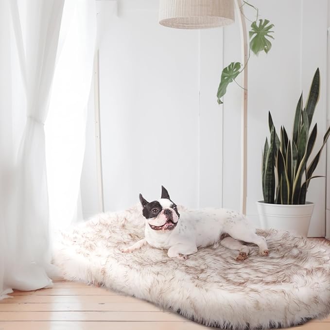 Laifug Luxury Faux Fur Dog Bed, 5-inch Thick Grade Ultra Soft Orthopedic Memory Foam Dog Bed with Faux Fur Cover, Plush Pup Rug with Removable Cover, Waterproof Liner(White)