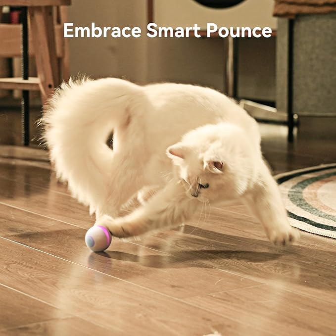 Cheerble Wicked Ball M3, Interactive Cat Ball Toy for Indoor Kittens, Smart Anti-Depression Pet Toy with Light