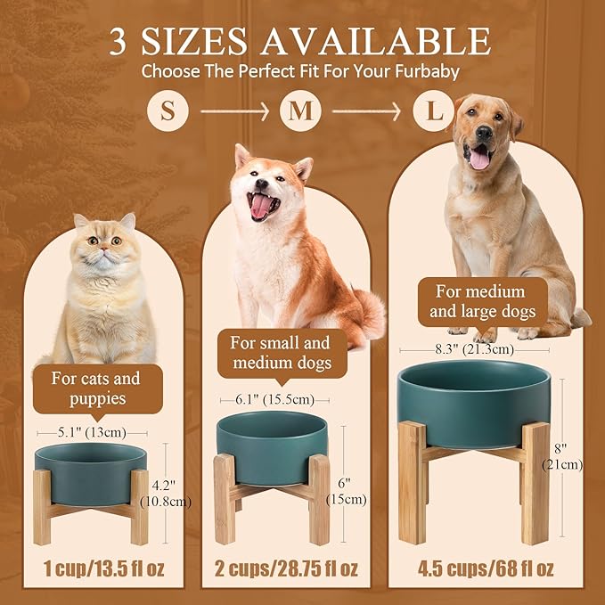 Ceramic Elevated Raised Cat Bowl with Wood Stand No Spill Pet Food Water Feeder Cats Small Dogs