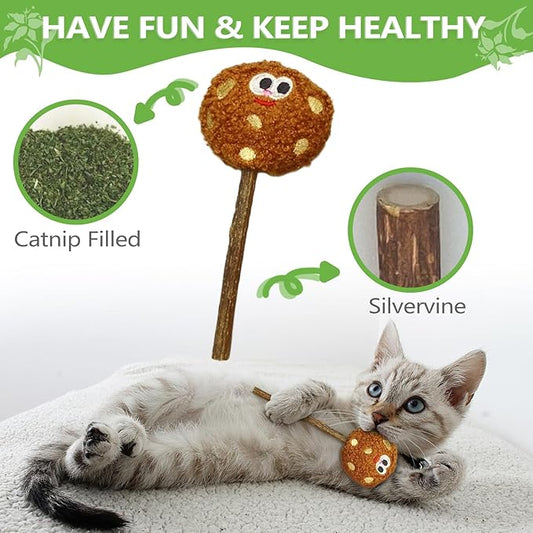 Silvervine Sticks for Cats, Lollipops Catnip Toys & Cat Chew Toy for Teeth Cleaning, Cat Toys for Indoor Cats (5-Pcs)