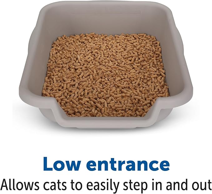 KittyGoHere Senior Cat Litter Box, Small Size, Misty Gray Color, Durable & Pet Safe Kitty Litter Box, Low 3" Entry and Lots More Room for Your Cats Comfort, Made in USA