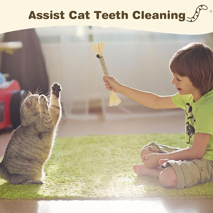 8 Pack Silvervine Sticks for Cats - Cat Chew Toy for Teeth Cleaning, Edible Matatabi Kitty Chew Sticks, Catnip Cat Toys for Indoor Cats