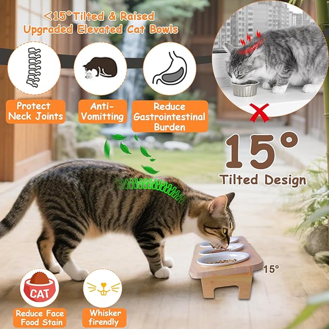 3 Elevated Cat Food and Water Bowl Set with Stand,15°Tilted Raised Pet Bowlfor Kittens/Puppy with 3 Ceremic Dishes, Indoor Cat Food Bowl,Anti-Vomit & Whisker Fatigue Relief, Dishwasher Safe