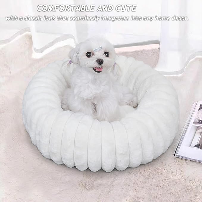 Small Cat Beds for Indoor Cats - Washable Round Kitten Bed, Cute Pumpkin Shape, Comfy Sleeping for Puppy, Small Dogs, Kitty - 19 Inch, Cream