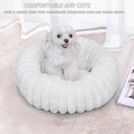 Small Cat Beds for Indoor Cats - Washable Round Kitten Bed, Cute Pumpkin Shape, Comfy Sleeping for Puppy, Small Dogs, Kitty - 19 Inch, Cream
