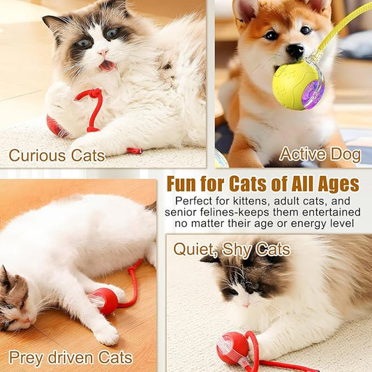 360 Smart Automatic Rolling Pet Ball,Interactive Cat Toys Balls,Automatic Moving Cat Balls,Interactive Cat Toys for Bored Indoor Cats (Yellow)