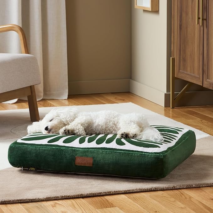 TOWN & COUNTRY LUXE CuddleTown Matisse Everwash® Pillow Pet Bed, Water Repellent Floor Pillow, Machine Washable Cover, Soft & Calming, Green, Small 28"x22"x4"